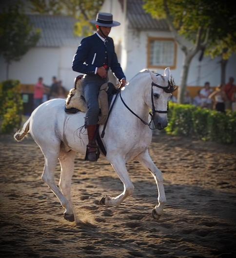 Imagen de WhatsApp 2025-09-18 a las 13.03.01_c37df6b2