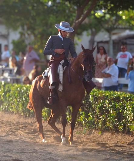 Imagen de WhatsApp 2025-09-18 a las 13.31.56_baa370e1