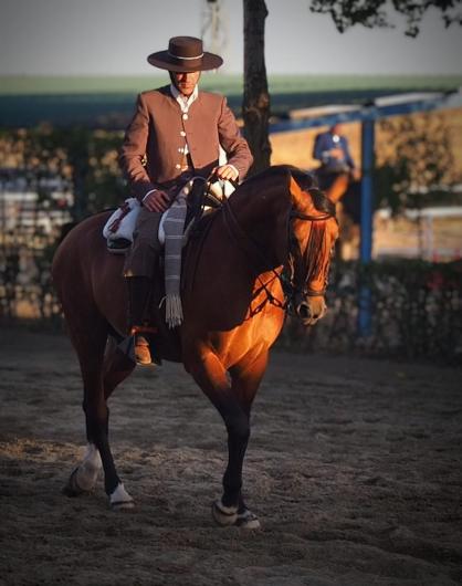 Imagen de WhatsApp 2025-09-18 a las 13.03.04_8b6b1468