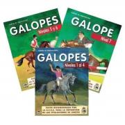 EXÁMENES DE GALOPES EN C.E. ANTARES