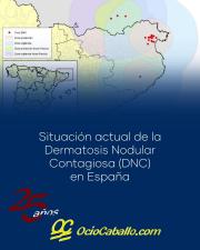 SITUACIÓN ACTUAL DE LA DERMATOSIS NODULAR CONTAGIOSA EN ESPAÑA