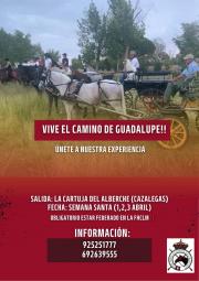 CAMINO A GUADALUPE