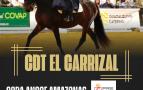 CONCURSO DOMA CLÁSICA EL CARRIZAL