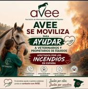 AYUDA  AFECTADOS POR LOS INCENDIOS
