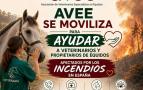 AYUDA  AFECTADOS POR LOS INCENDIOS