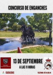 CONCURSO DE ENGANCHES