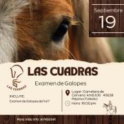 EXAMENES DE GALOPES