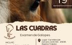 EXAMENES DE GALOPES