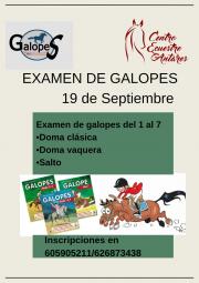EXÁMENES DE GALOPES  