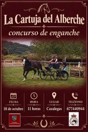 CONCURSO DE ENGANCHES
