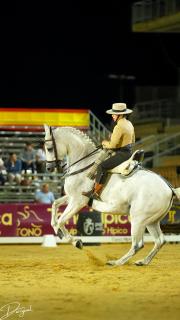 LV CAMPEONATO ESPAÑA DE DOMA VAQUERA 2026